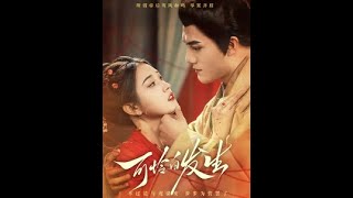 可怜白发生：逆袭之路