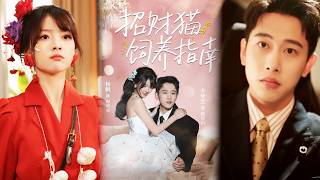 招财猫饲养指南