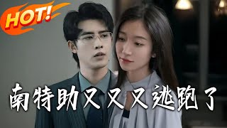 南特助又又又逃跑了