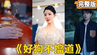 背叛與新生：丈夫的抉擇