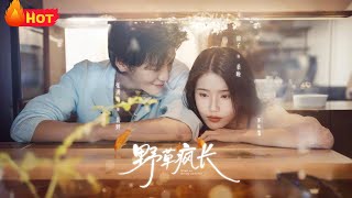 Wild Grass Flourishes