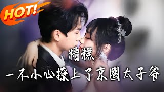 Oops, I Accidentally Hooked the Beijing Circle Prince