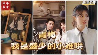盛少的小難哄