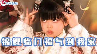 錦鯉臨門福氣到我家
