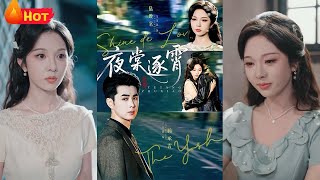 Night Begonia Pursues Xiao