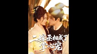 二嫁丞相成了掌心寵