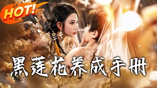 黑蓮花養成手冊