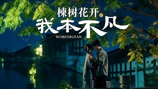 楝树花开之我本不凡