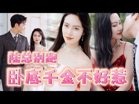 丁氏集團的秘密使命：縂裁的隱秘私訪