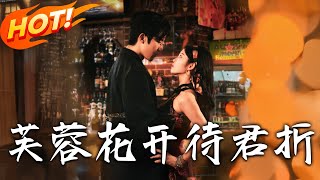 芙蓉花开待君折