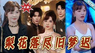 梨花落尽旧梦迟