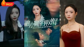 司小姐的马甲又掉了