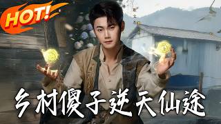 鄕村傻子逆天仙途