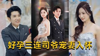 好孕三連司爺寵妻