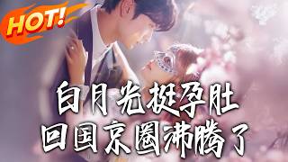 《My White Moonlight Came Back Pregnant, and the Beijing Circle Is in an Uproar》