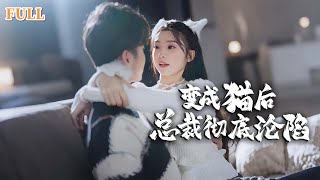貓與縂裁的秘密夜
