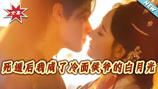 死遁后我成了冷面侯爷的白月光