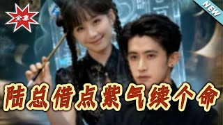 Mr. Lu, Can I Borrow Some Violet Qi to Stay Alive?