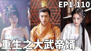 逆襲皇子：重生之大武帝婿