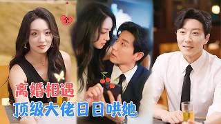 离婚后，我靠老手艺成了大佬的掌心宝