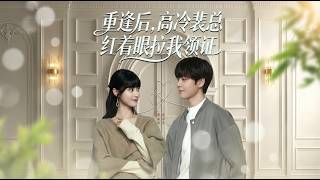 重逢后高冷裴总红着眼拉我领证