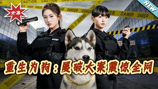 Reborn as a Dog: Solving Major Cases Shocks the Internet