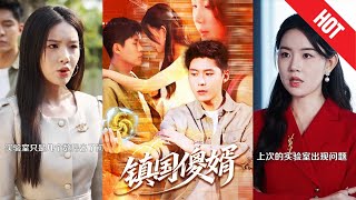 镇国傻婿