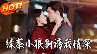 Green Tea 'Puppy' Lures My Deep Affection