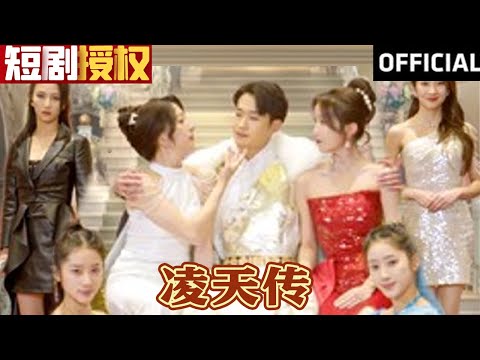 淩天傳：逆襲之路