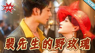 裴先生的野玫瑰