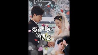 《愛恨難逃的傅縂》