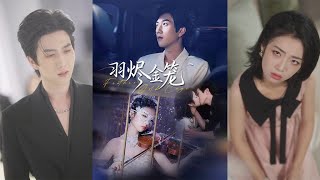 Golden Cage of Burnt Feathers