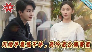 闪婚孕妻逃不掉，高冷老公偏要宠