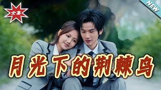 月光下的荆棘鸟
