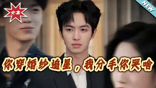 You Wore a Wedding Dress to Chase a Star, Why Are You Crying When I Break Up With You