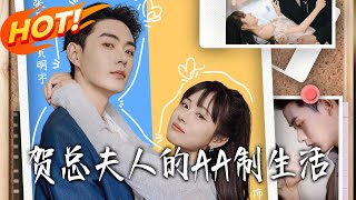 贺总夫人的AA制生活