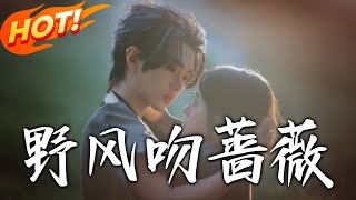 《野风吻蔷薇》第1~78集【高清完结合集】丨六年时光未灭爱火！温书缈与谢劲重逢纠葛，互相折磨中揭开当