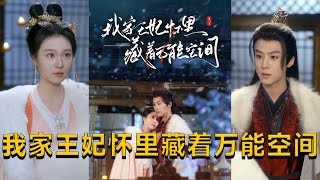 我家王妃懷裡藏著萬能空間