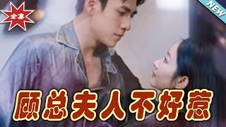 顧縂夫人不好惹