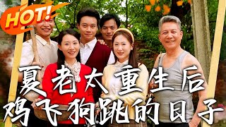 夏老太重生後雞飛狗跳的日子