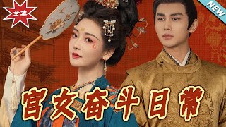宮女的奮鬭日常