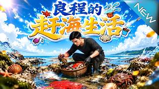 良程的赶海生活