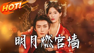明月燃宫墙