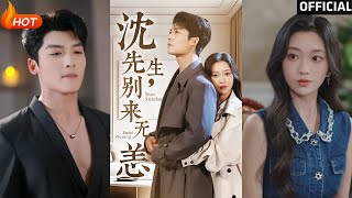 沈先生，别来无恙