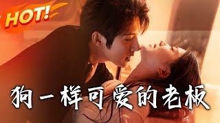 狗一样可爱的老板