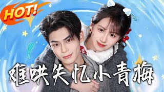 The Hard-to-Please Amnesiac Childhood Sweetheart