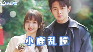 小鹿亂撞