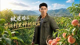 被退婚後，帶領村裡種桃致富