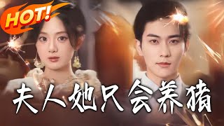 夫人她只会养猪