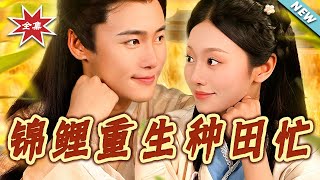 锦鲤重生种田忙